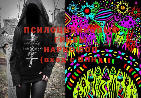 тгк Алексеевка