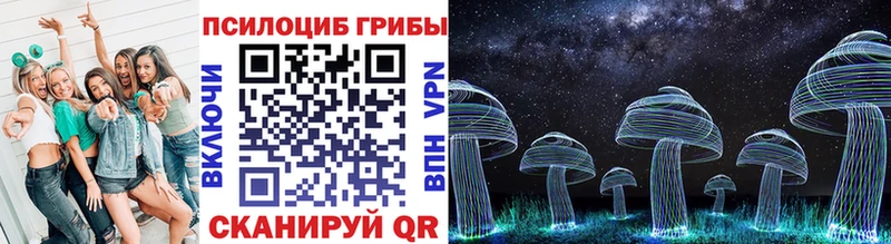 shop официальный сайт  Кирсанов  Псилоцибиновые грибы прущие грибы 
